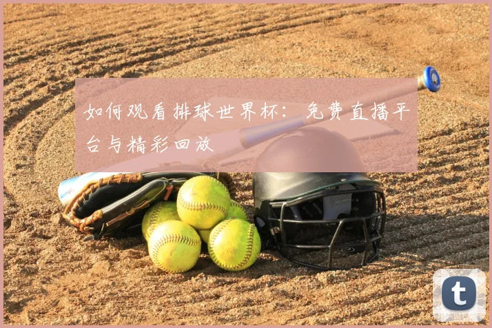 如何观看排球世界杯：免费直播平台与精彩回放